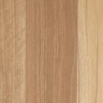 Blackbutt