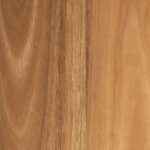 Spotted Gum